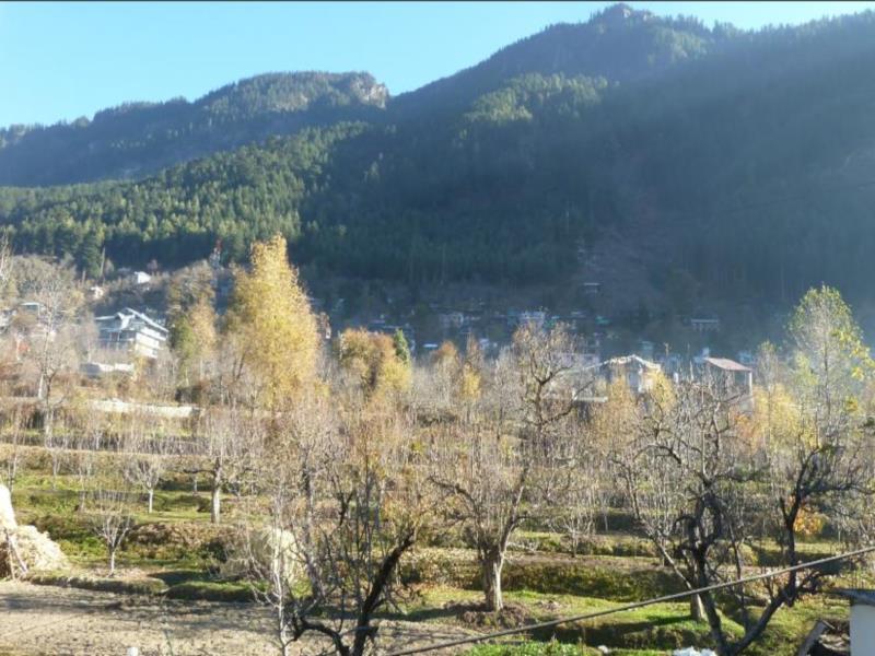 Hotel Mohan Palace Manāli Dış mekan fotoğraf